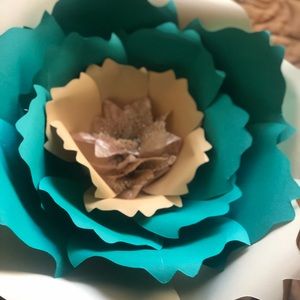 Meet your Posher, Raghed